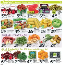 Fortinos flyer valid from 14.08.2025 | Page: 3 | Products: Strawberries, Potatoes, Pumpkin, Oranges