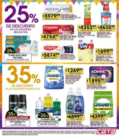 Vista previa Coto - Ofertas válido desde el 13.10.2025 | Página: 19