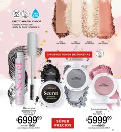 Vista previa Millanel - Catálogo válido desde el 10.11.2025 | Página: 13