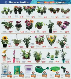 Supermercados Condor - Ofertas da semana  - Pré-Visualização do folheto da loja Supermercados Condor, válido de 02.01.2026 | Página: 28