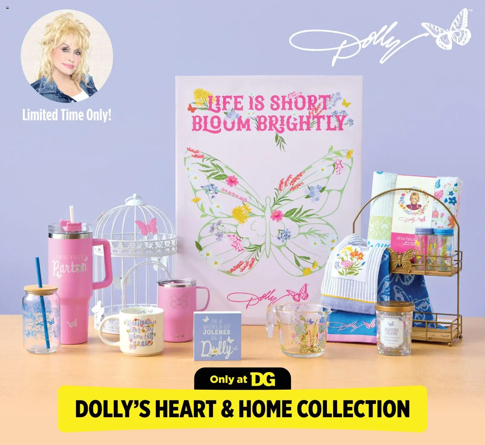 Dollar General Weekly Ad - valid from 08.03.2026 | Page: 11