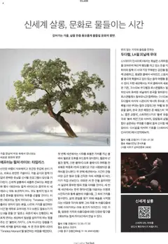  | 페이지: 47 | 상품: 차