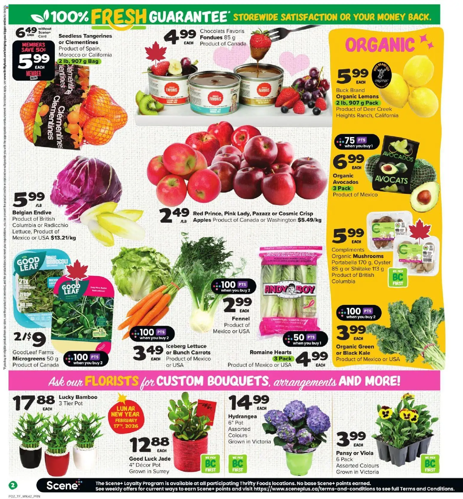 Thrifty Foods flyer valid from 12.02.2026 | Page: 3 | Products: Tangerines, Bag, Apples