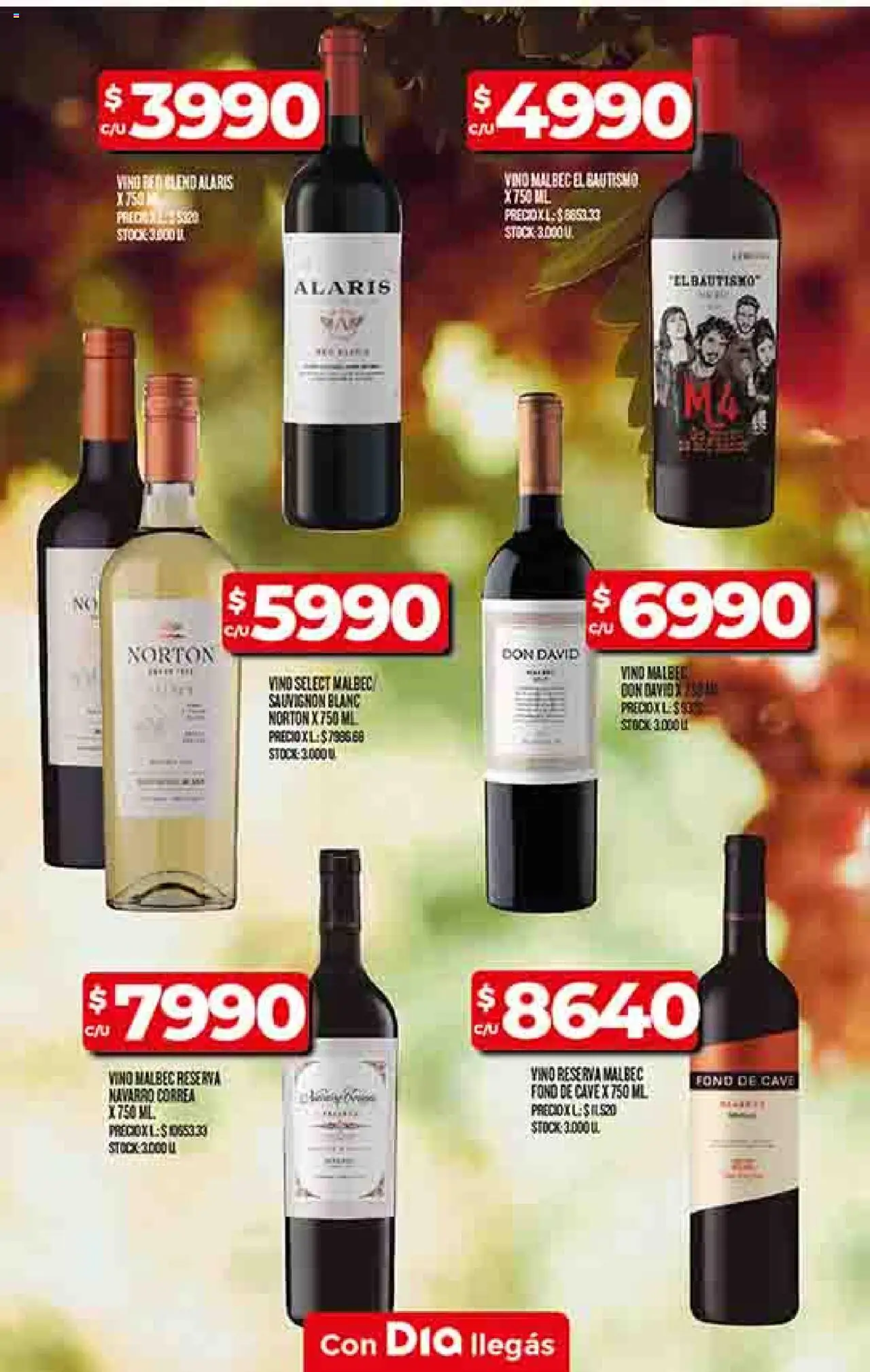 Supermercado DIA Ofertas │ válido desde el 18.06.2025 | Página: 53 | Productos: Vino
