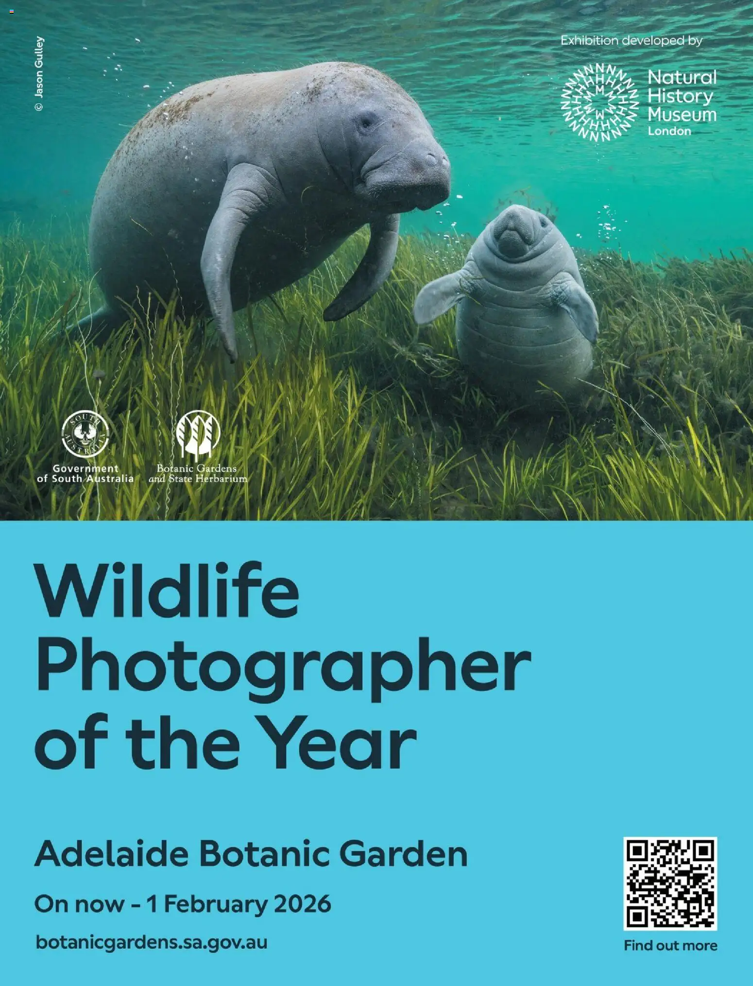 Foodland catalogue - valid from 01.12.2025 | Page: 64