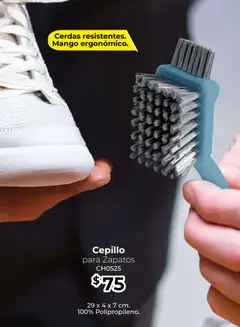 Vista previa de Colchas Concord catálogo Concord home, nuevo folleto de la tienda, válido en México a partir del 01.05.2026 | Página: 112 | Productos: Cepillo, Zapatos, Mango