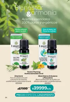 Tupperware Folleto │ válido desde el 08.09.2025 | Página: 85 | Productos: Aceite, Té
