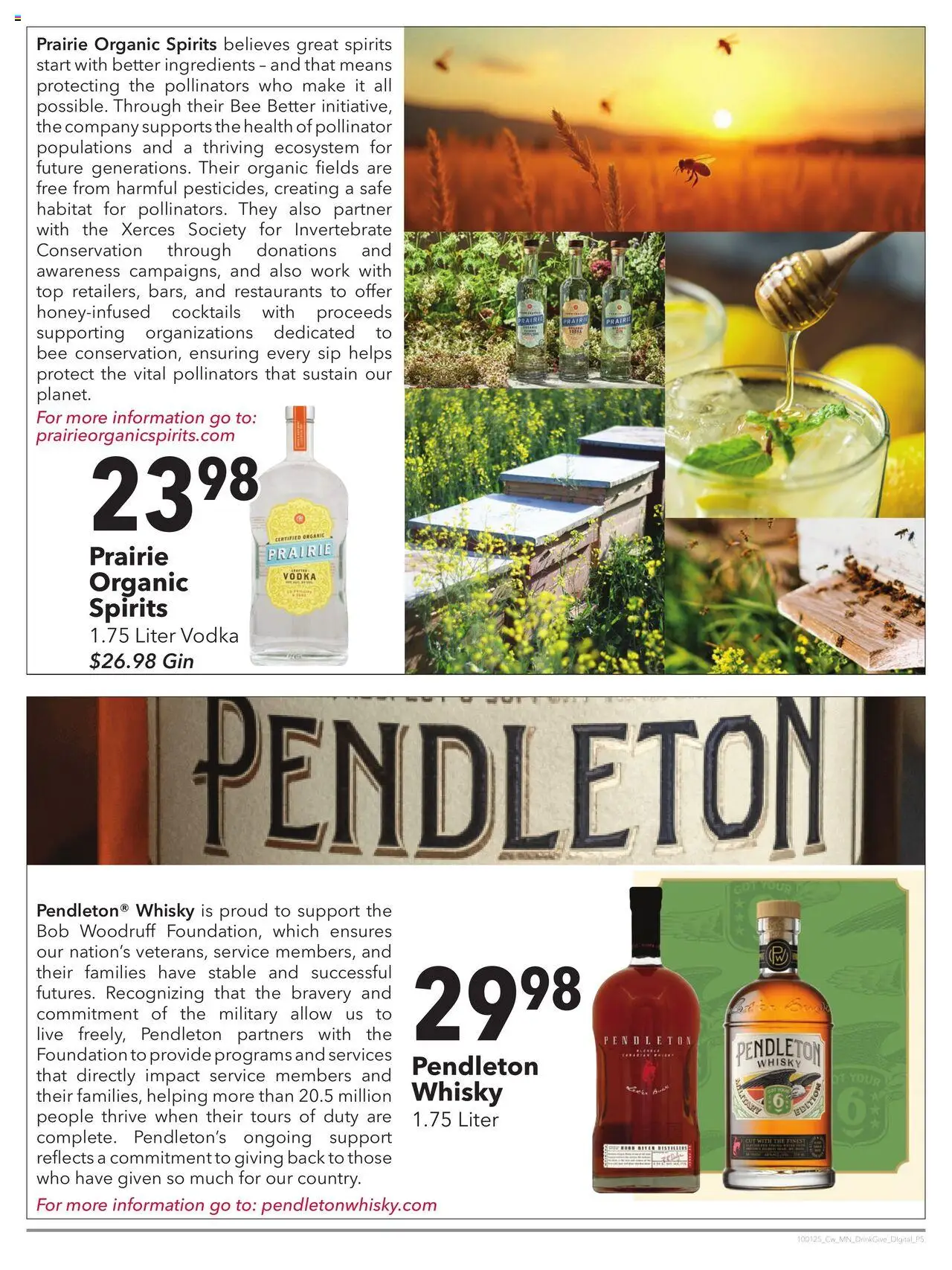 Cash Wise Drink Up, Give Back - valid from 01.10.2025 | Page: 5 | Products: Safe, Foundation, Gin, Vodka