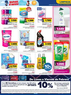 Vista previa Carrefour Maxi catálogo válido desde el 09.02.2026 | Página: 10