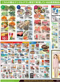 11.02.2026から有効なオファーを含む ライフ - チラシ | ページ: 3