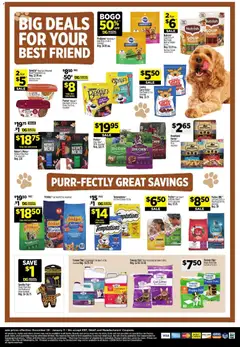 Preview of Dollar General weekly ads valid from 28.12.2025 | Page: 16