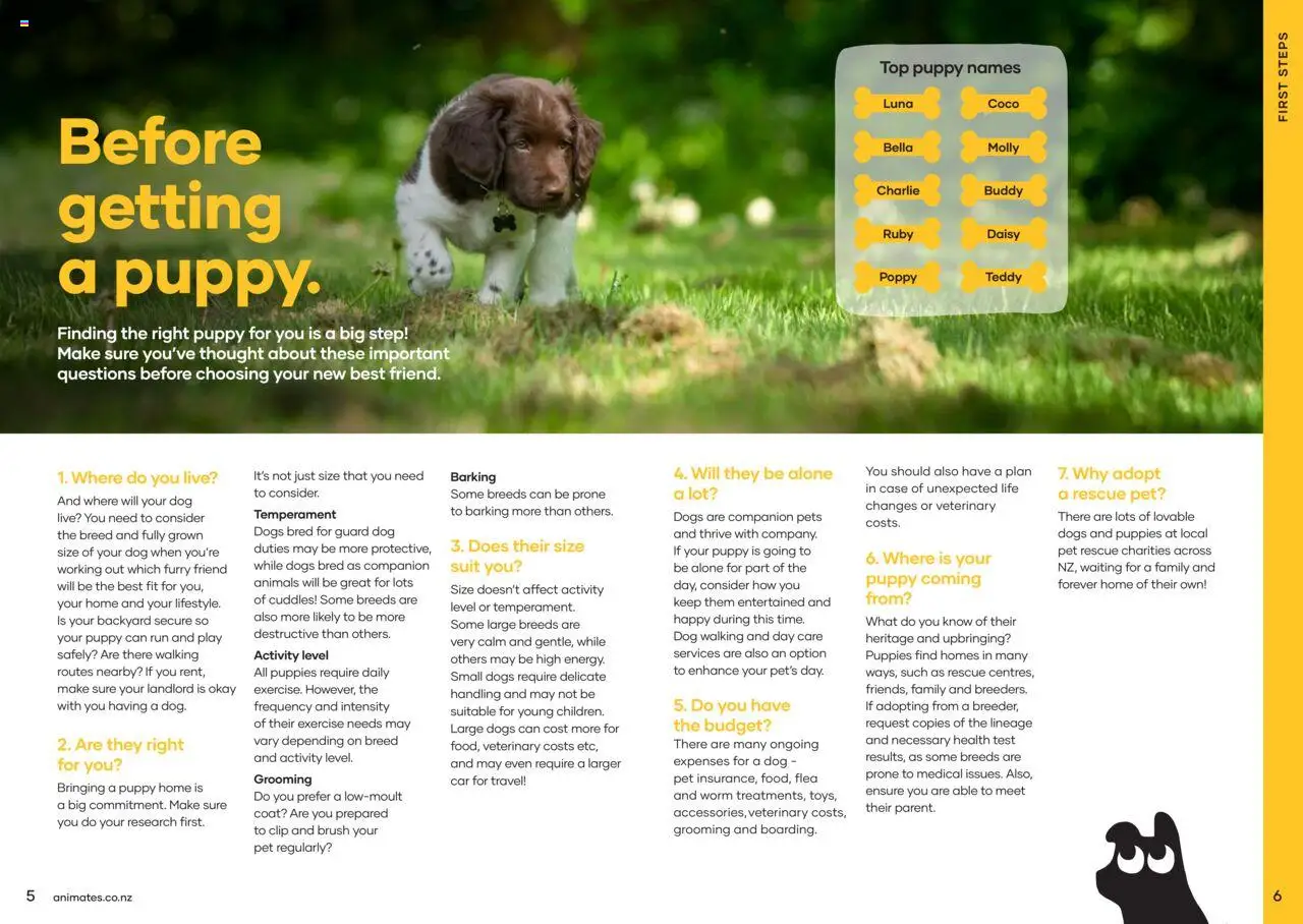 Animates catalogue from 01.01.2024 | Page: 4