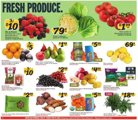 Preview of Winn Dixie weekly ads valid from 22.04.2026 | Page: 2 | Products: Oranges, Salad, Cabbage, Bag