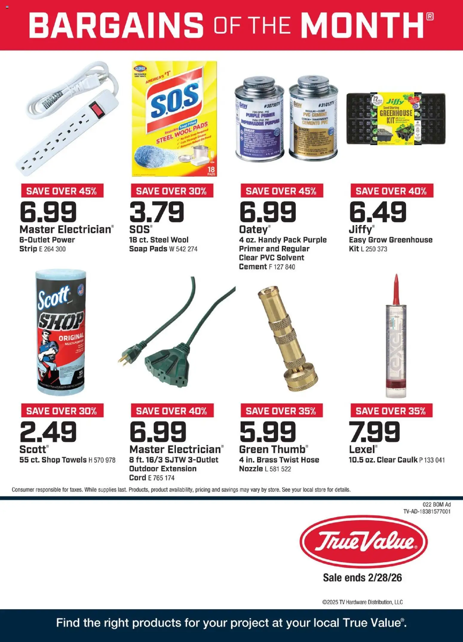 True Value - February Bargains of the Month - valid from 01.02.2026 | Page: 1 | Products: Soap, Pads, Tv