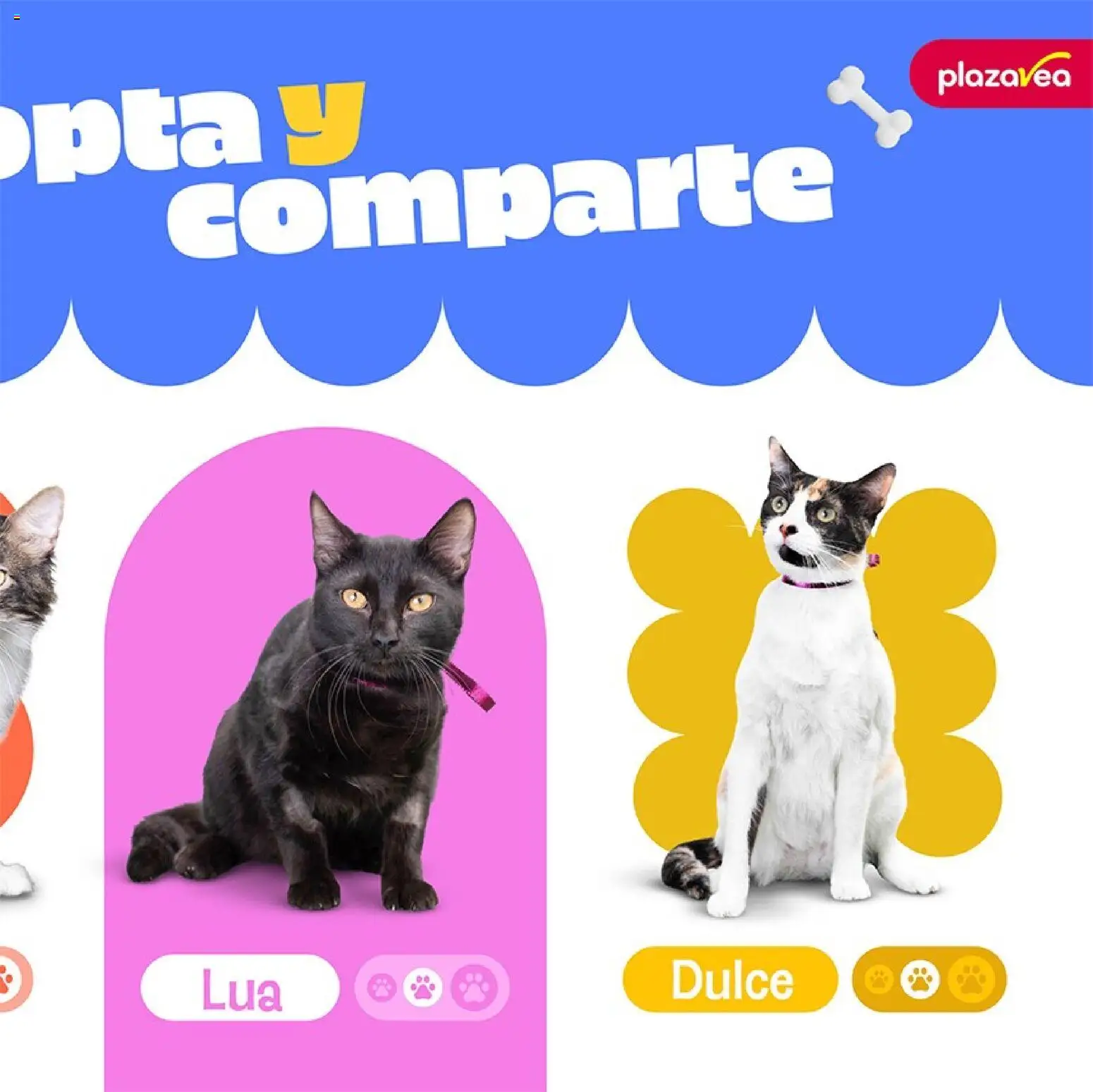 Catálogo Plaza Vea válido desde 02.01.2026 | Página: 5