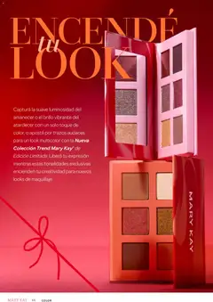 Vista previa Mary Kay catálogo válido desde el 03.12.2025 | Página: 46 | Productos: Brillo
