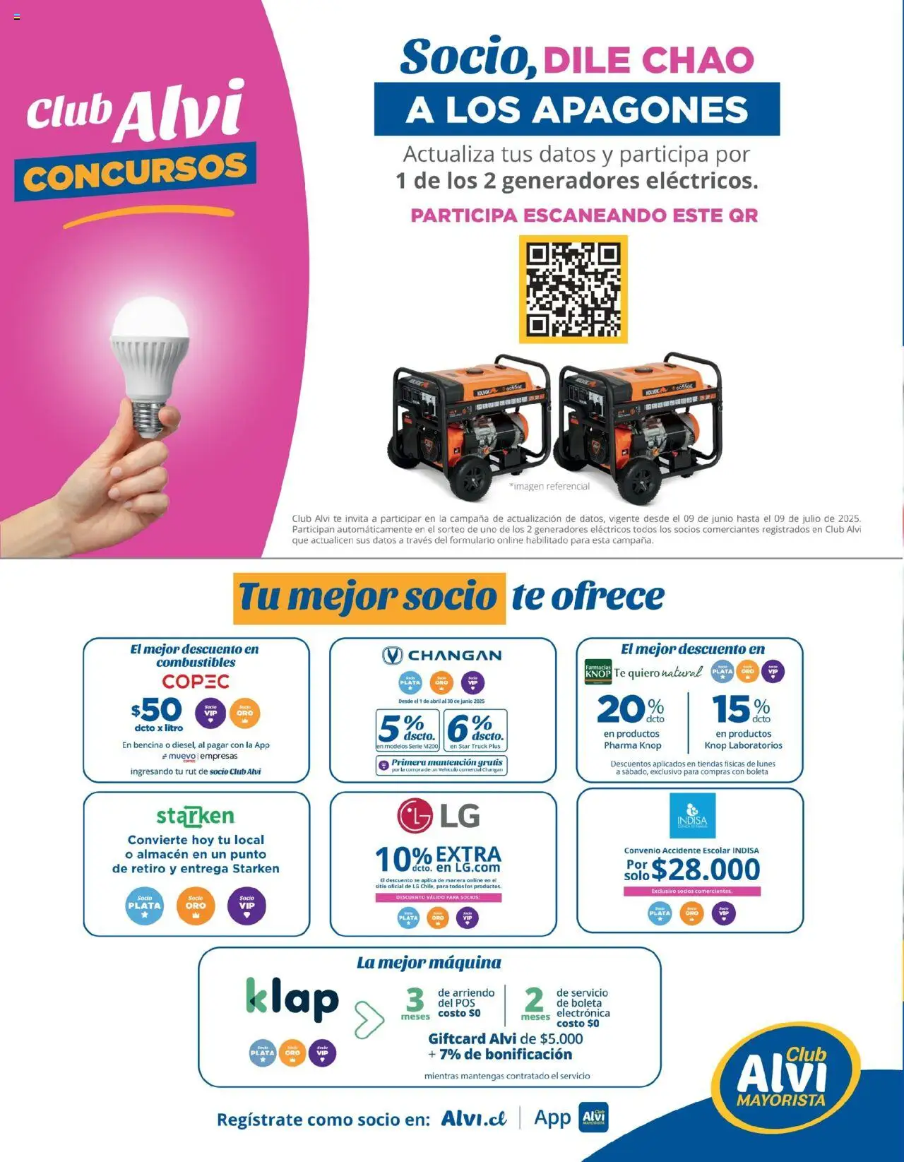 Alvi catálogo │ válido desde el 25.06.2025 | Página: 24 | Productos: Campana, Té