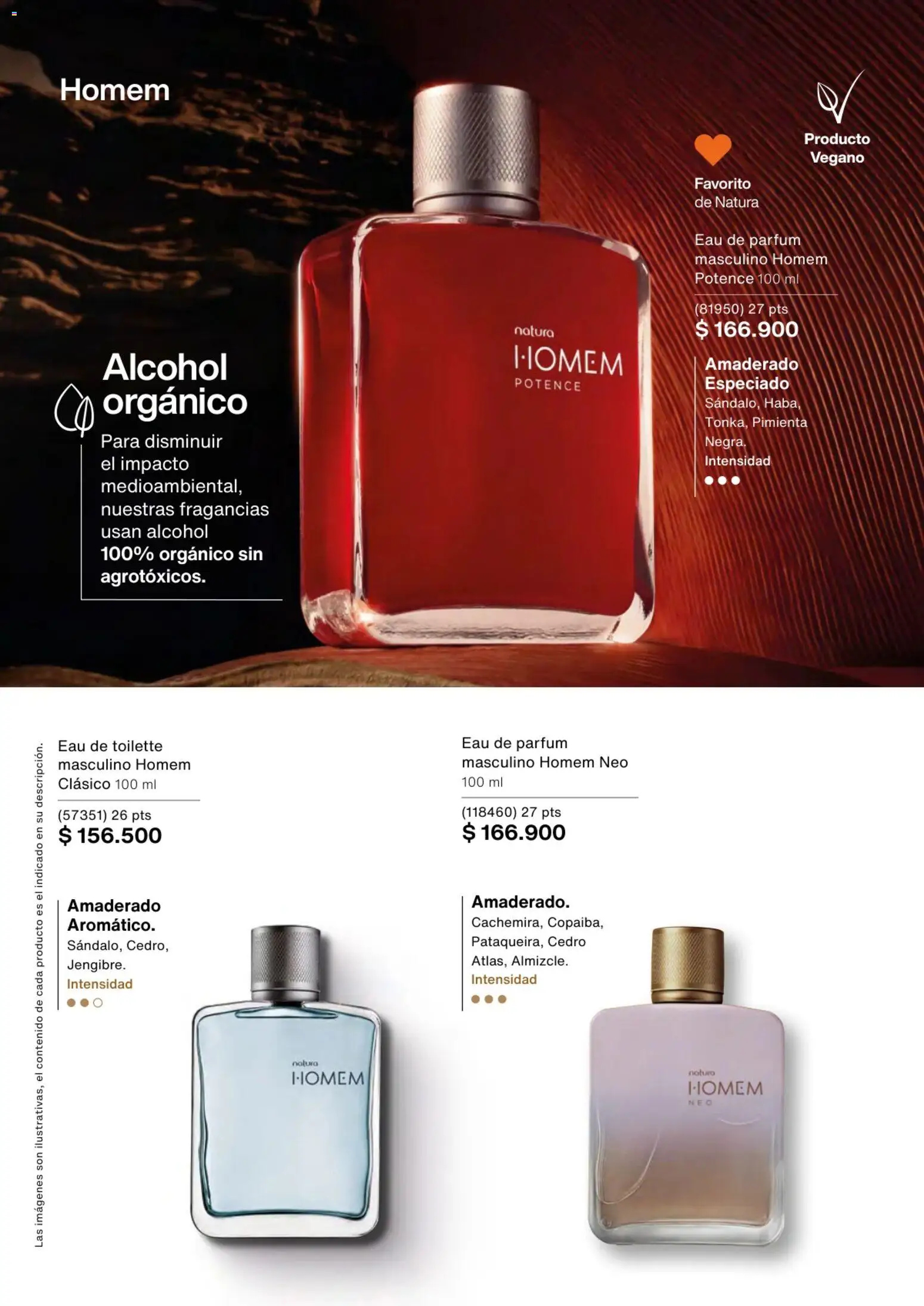 Natura revista - valida desde el 01.03.2026 | Página: 40 | Productos: Pimienta, Eau de toilette, Tintura