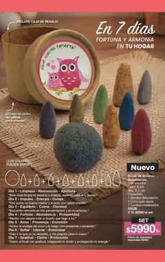 Vista previa Gigot - CAMPAÑA 06 válido desde el 15.03.2026 | Página: 163 | Productos: Caja, Estuche