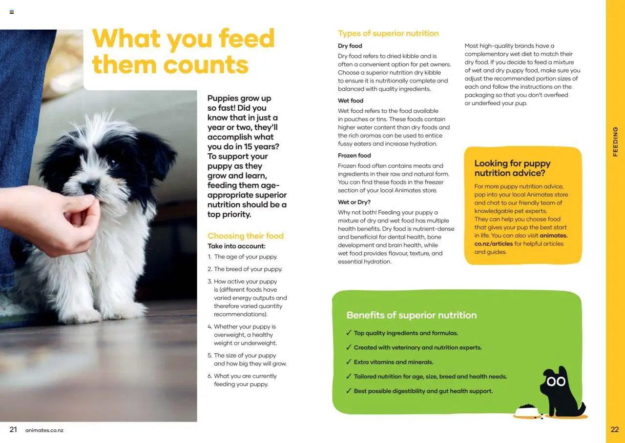 Animates catalogue from 01.01.2024 | Page: 12