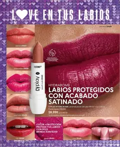 CyZone - Catálogo CyZone C03/2026 -  Vista previa de la revista de la tienda CyZone valido desde el 01.03.2026 | Página: 40 | Productos: Uva, Manteca, Aceite