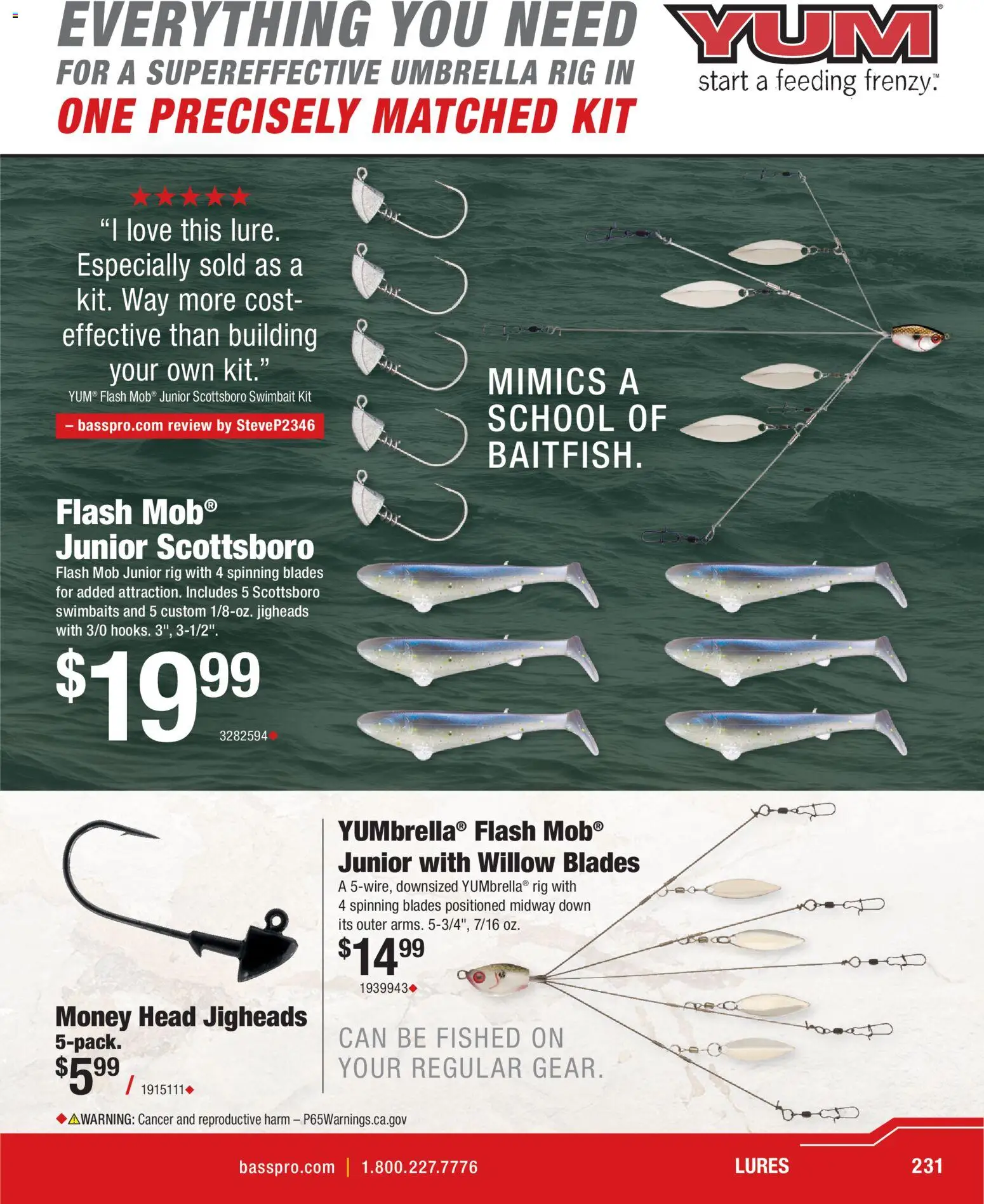 Cabela's Spring Fishing Master 26 - valid from 22.01.2026 | Page: 231