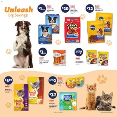 Preview of Family Dollar weekly ads valid from 01.03.2026 | Page: 13 | Products: Dog Treats, Dog Food, Cat Food, Sauce