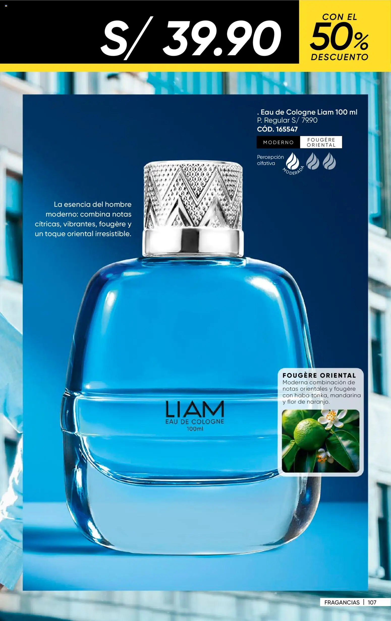 Catálogo Azzorti válido desde 24.11.2025 | Página: 109