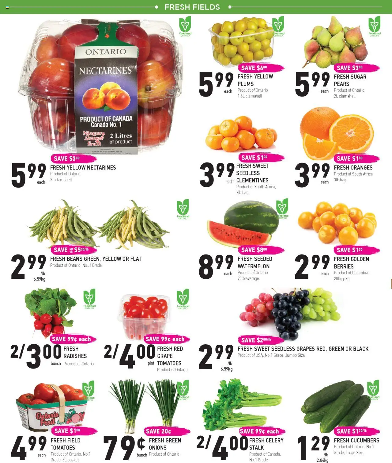 Coppas Fresh Market flyer valid from 14.08.2025 | Page: 2 | Products: Cucumbers, Bag, Oranges, Tomatoes