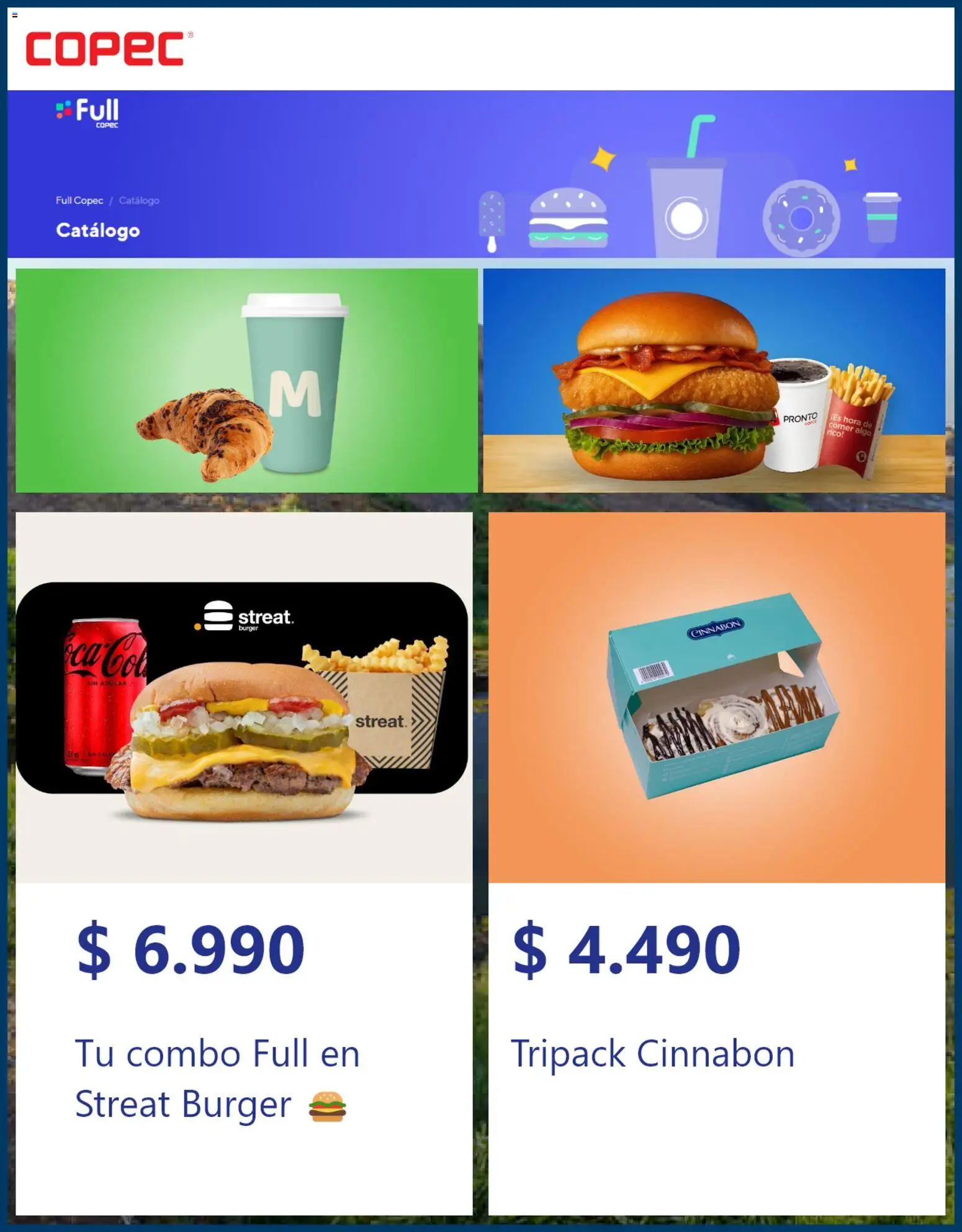 Copec ofertas  │ válido desde el 12.03.2026 | Página: 5