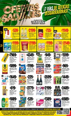 Vista previa Yaguar - Mar del Plata válido desde el 03.11.2025