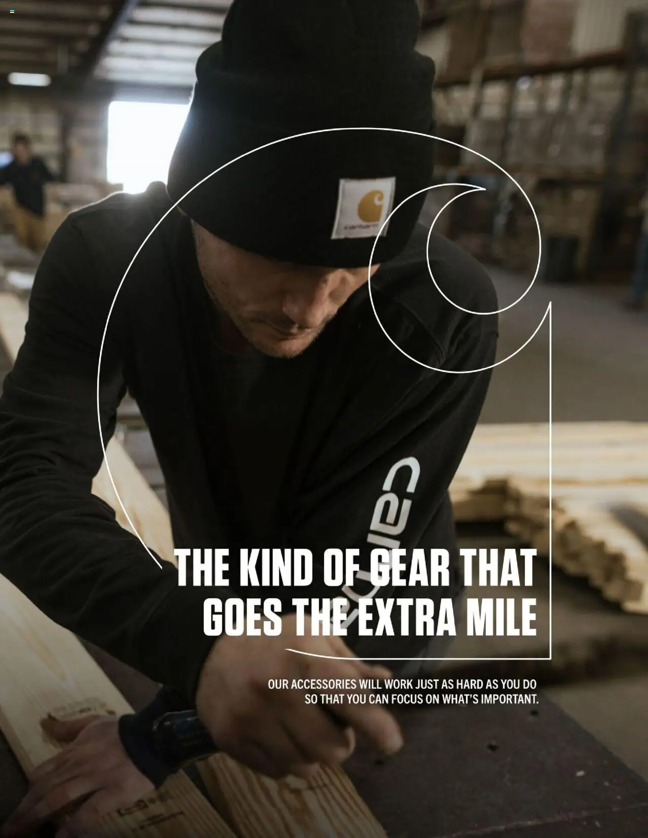 Dunham's Sports Carhartt Guide - valid from 02.10.2025 | Page: 17