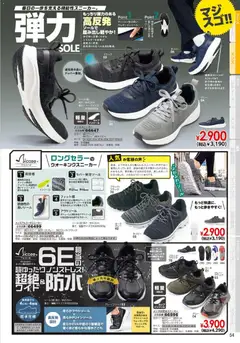 13.02.2026から有効なオファーを含む ヒラキ - チラシ | ページ: 55