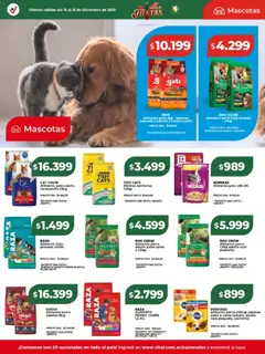 Vista previa Vital - Ofertas válido desde el 15.12.2025 | Página: 25