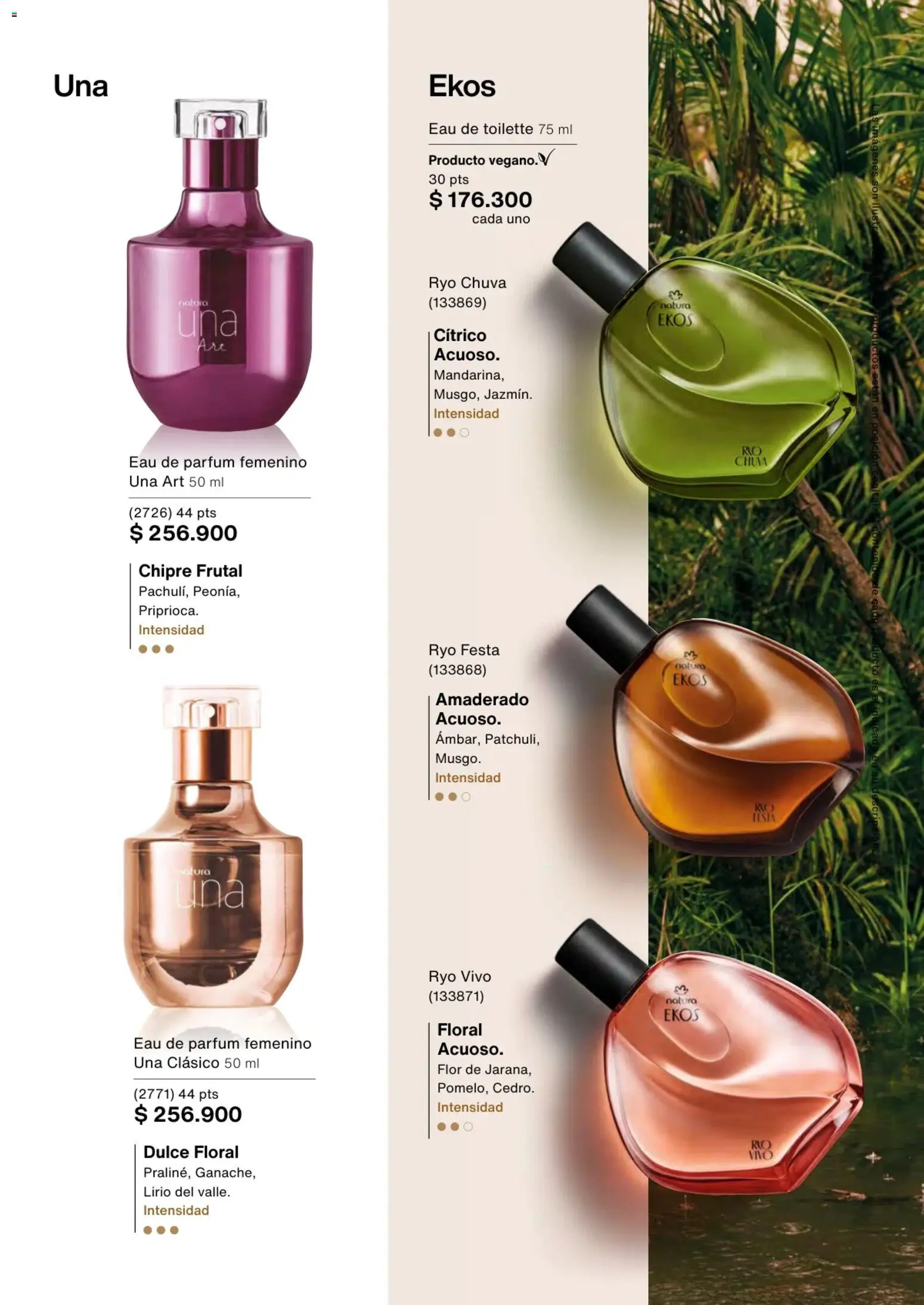 Natura revista - valida desde el 13.11.2025 | Página: 53 | Productos: Eau de toilette
