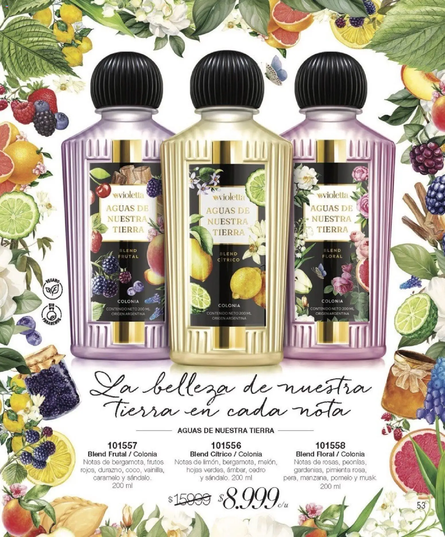 Violetta catálogo │ válido desde el 01.01.2026 | Página: 53 | Productos: Pimienta, Pomelo