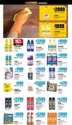 Vista previa Diarco ofertas válido desde el 01.12.2025 | Página: 19