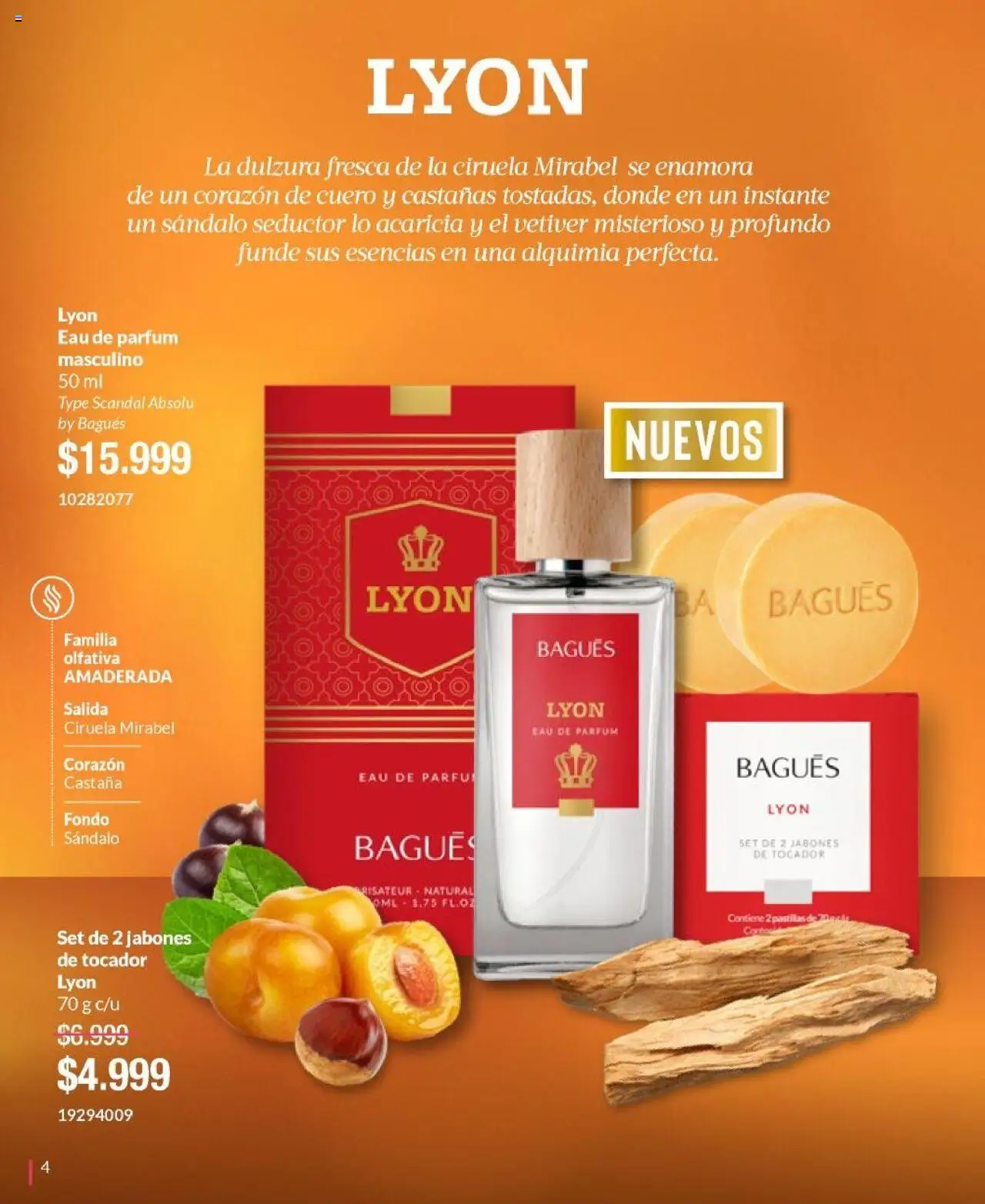 Bagués catálogo │ válido desde el 01.06.2025 | Página: 4 | Productos: Esencias