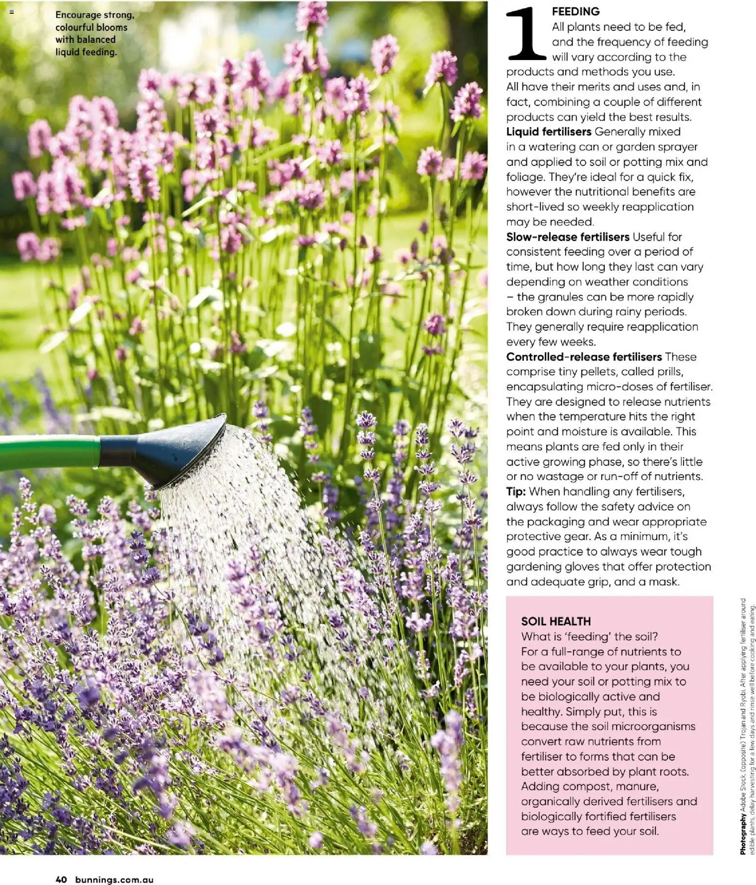 Bunnings Warehouse catalogue - valid from 01.01.2026 | Page: 40 | Products: Plant, Soil, Gloves, Nutrients