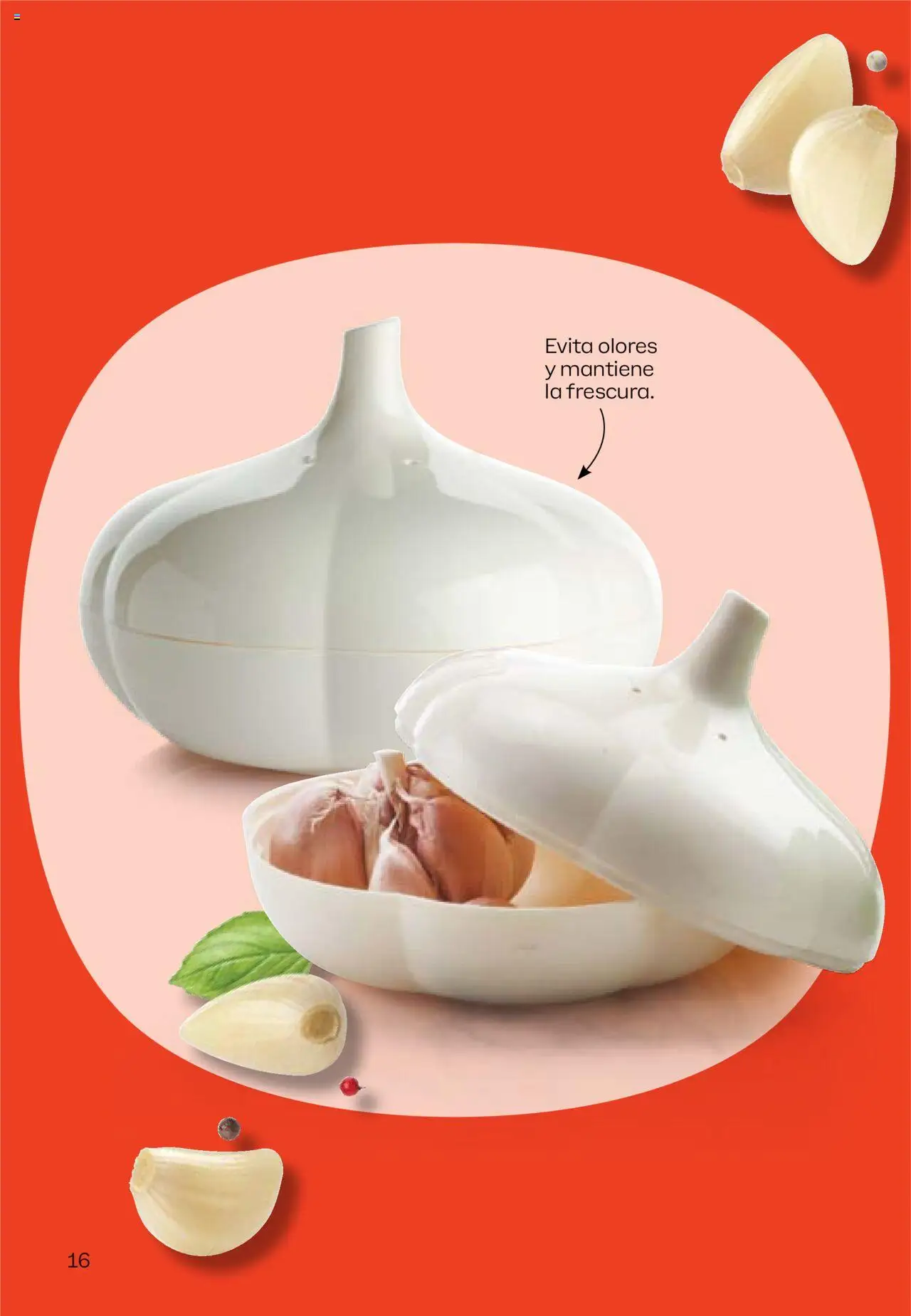 Tupperware Folleto │ válido desde el 08.09.2025 | Página: 17