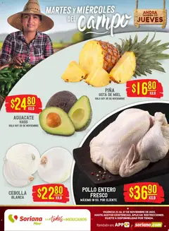 Vista previa de Soriana - Martes y Miércoles del Campo Híper: Tamaulipas (excepto Cd. Victoria y Tampico), nuevo folleto de la tienda, válido en México a partir del 25.11.2025