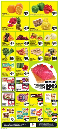 Preview of FreshCo weekly flyer / circulaire from shop FreshCo valid from 11.12.2025 | Page: 3 | Products: Chicken, Pork, Oranges, Tomatoes