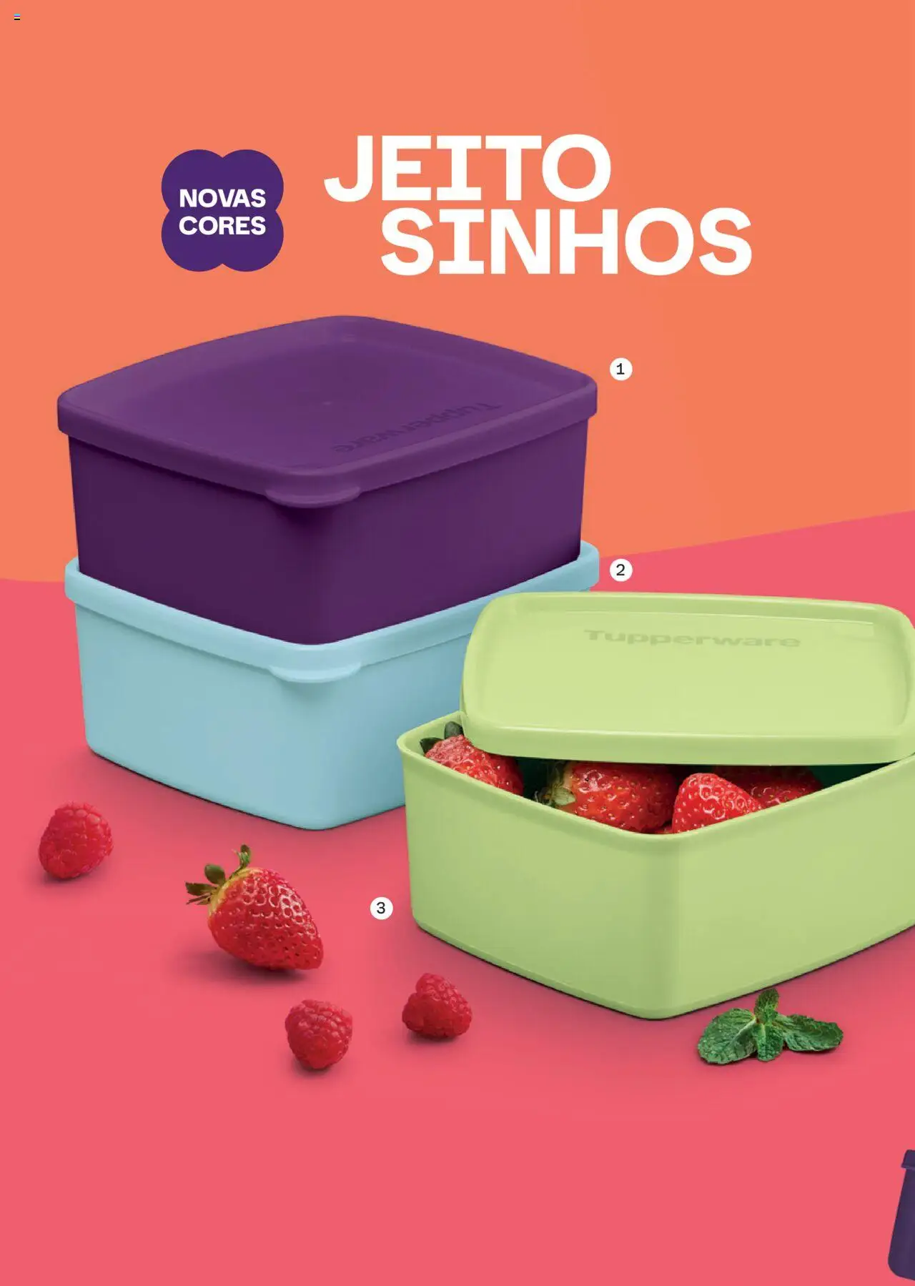 Tupperware Folheto - válido de 01.11.2025 | Página: 34