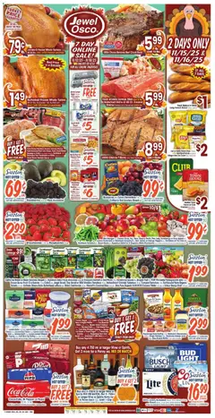 Preview of Jewel Osco weekly ads valid from 12.11.2025