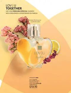 Vista previa de folleto Avon catálogo - Campaña 04 de la Avon válido desde 20.02.2026 | Página: 66 | Productos: Aceite, Arroz