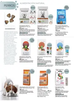Vista previa de El Corte Inglés - Catálogo Mascotas Octubre, nuevo folleto de la tienda, válido en México a partir del 01.10.2025 | Página: 2 | Productos: Pollo, Fuente, Cerdo, Zanahoria