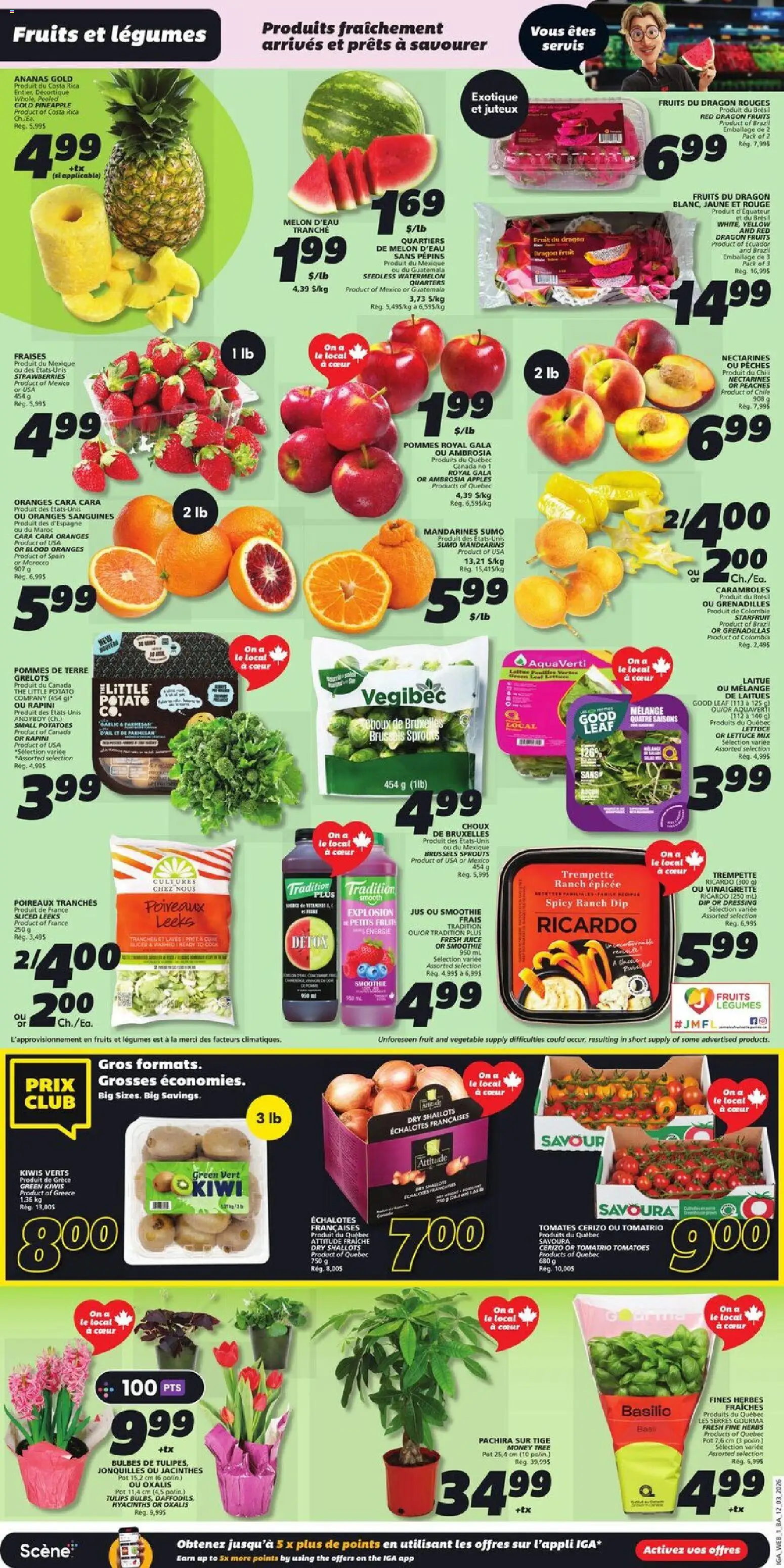 IGA flyer valid from 12.03.2026 | Page: 3 | Products: Pineapple, Kiwi, Oranges, Tomatoes