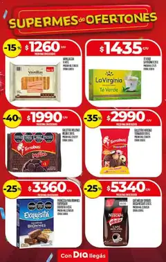 Vista previa Supermercado DIA Ofertas válido desde el 22.10.2025 | Página: 14