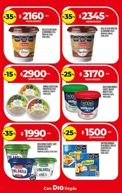 Vista previa Supermercado DIA Ofertas válido desde el 29.10.2025 | Página: 13