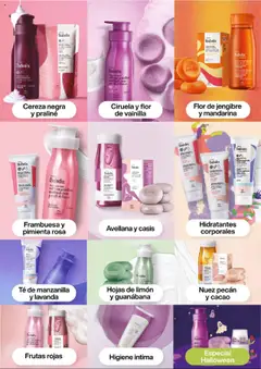 Natura - Catálogo -  Vista previa de la revista de la tienda Natura valido desde el 03.09.2025 | Página: 91